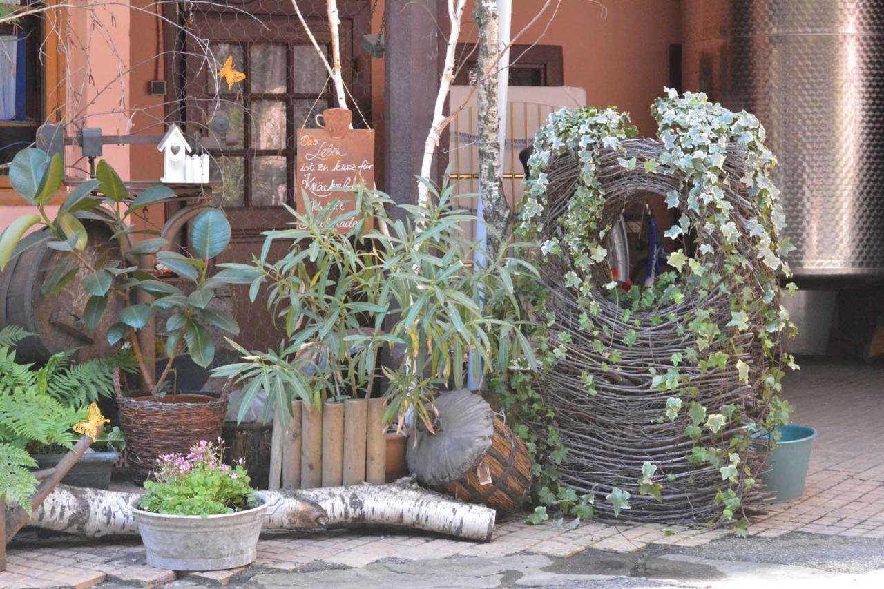 Chez Cecile Bed And Breakfast Chez Le Vigneron Colmar Exterior foto