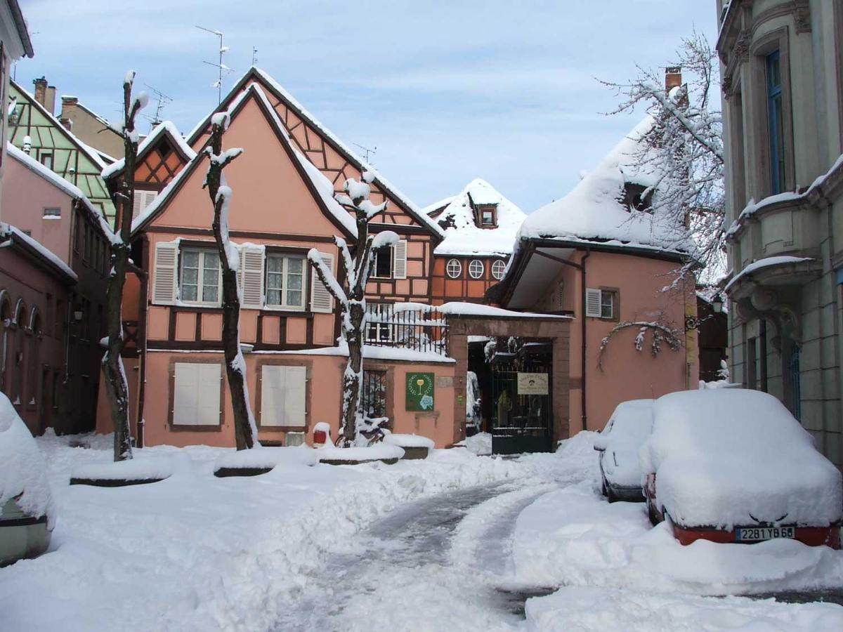 Chez Cecile Bed And Breakfast Chez Le Vigneron Colmar Exterior foto