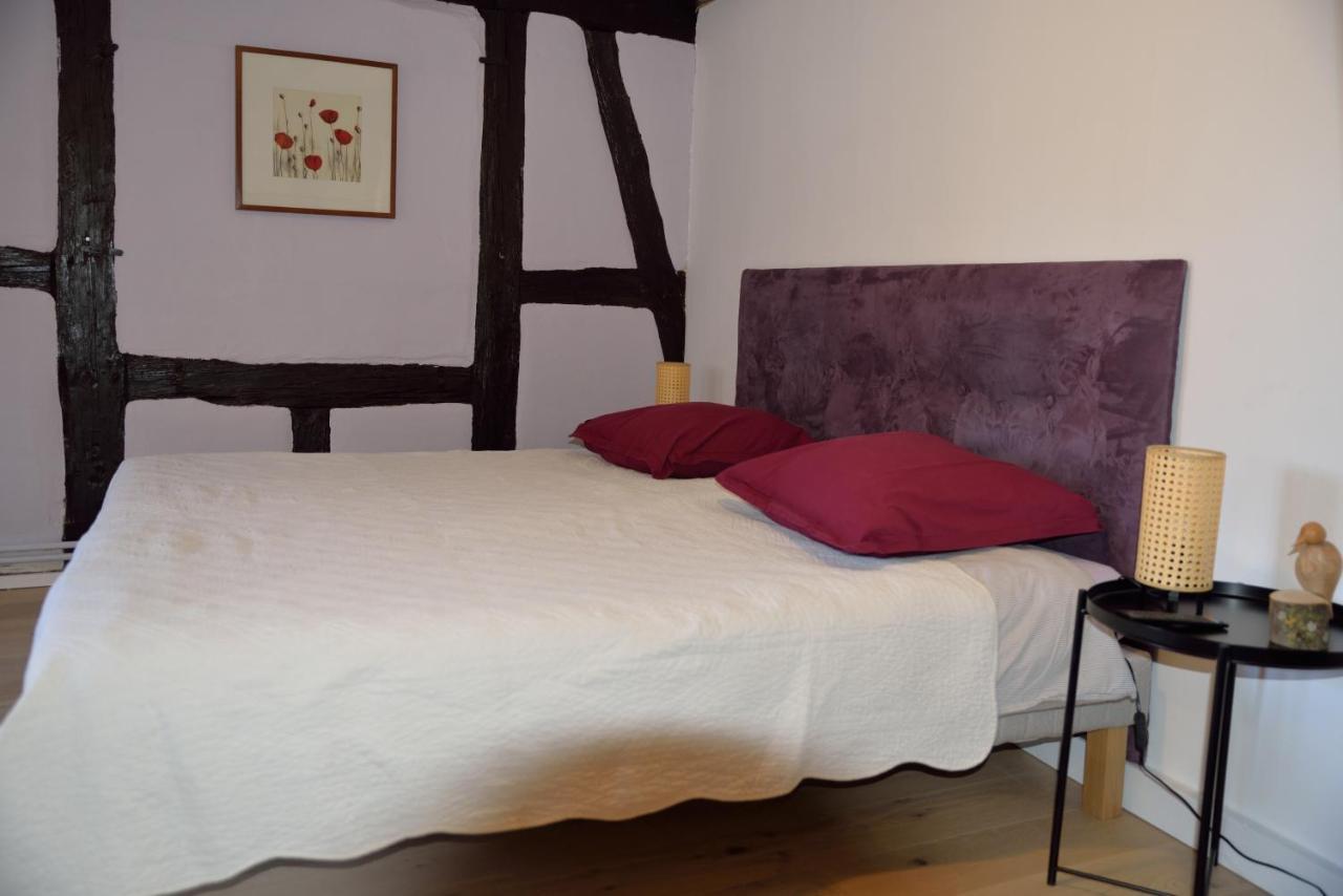 Chez Cecile Bed And Breakfast Chez Le Vigneron Colmar Exterior foto